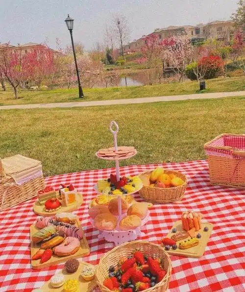 ""因为我一想到明天的野餐,就会不由自主地开心."--《乱世佳人》