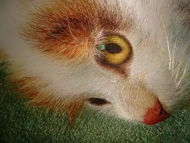 无论从哪个方向特别是那双猫眼栩栩如生,简直是活的很多人在见到苏绣