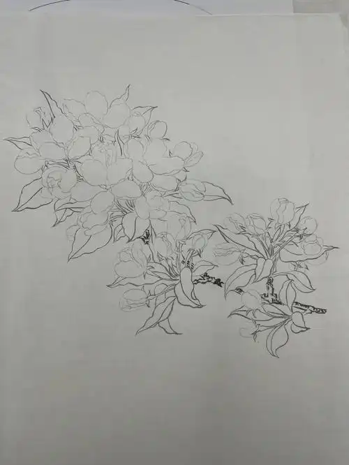 工笔画线条的灵魂很重要,会千变万化.