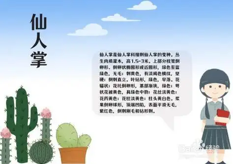 仙人掌手抄报关于探索月球手抄报关于月球的手抄报图片探索月球画关于
