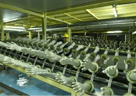 王强宣布开机洪达集团年产50亿只丁腈乳胶手套项目竣工投产