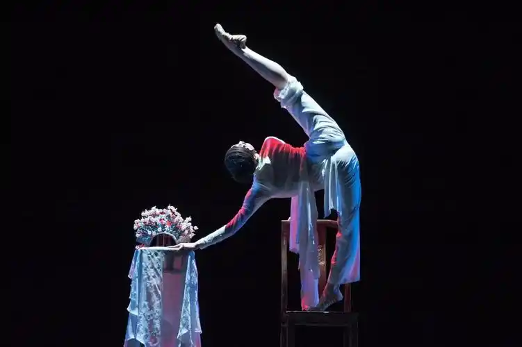 第十一届中国舞蹈荷花奖古典舞评奖系列作品一