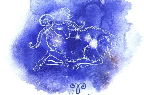 白羊座愿有人为你颠沛流离,如果没有愿你成为自己的太阳!