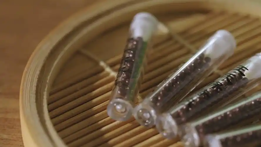 王氏保赤丸护佑珠峰攀登者勇往直前|珠穆朗玛峰_新浪财经_新浪网