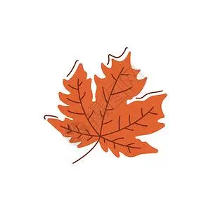 树一半茂盛一般干枯插画_树一半茂盛一般干枯卡通_树一半茂盛一般干枯