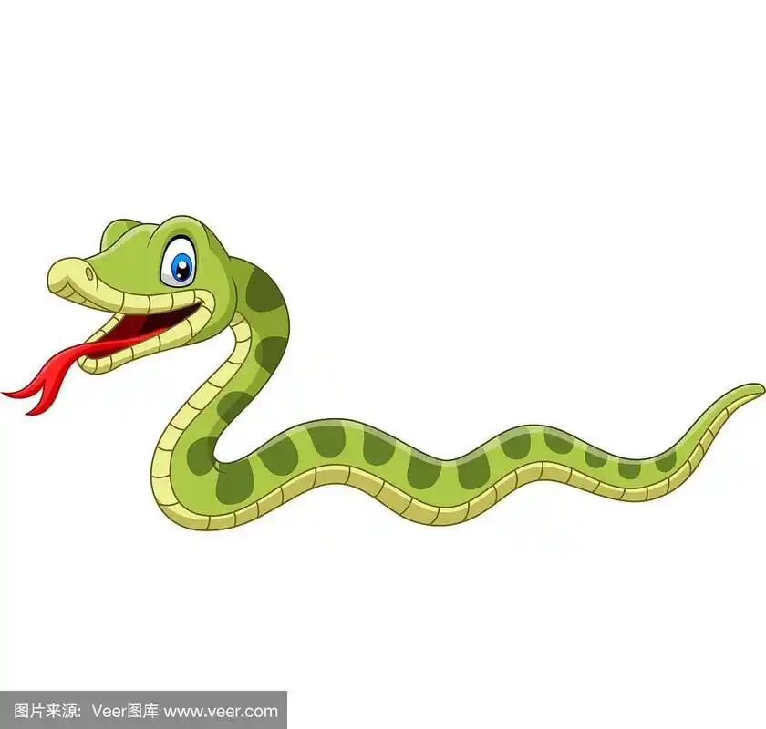 可爱的绿色蛇卡通在白色的背景