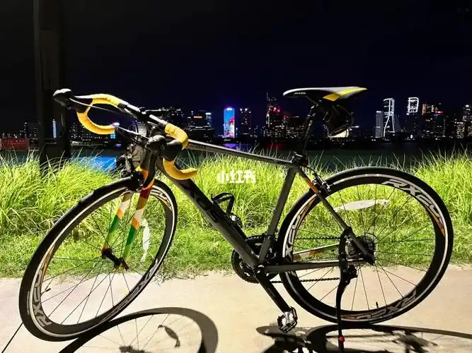 入手喜德盛rx280