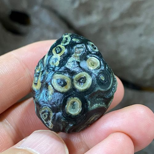 阿拉善戈壁玛瑙外蒙蒙古地表眼睛石天然奇石精品收藏