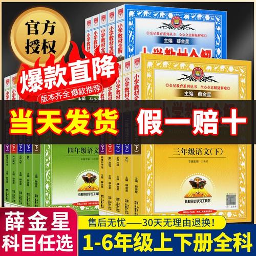 薛金星小学教材全解四年级下册语文教材全解一二三五六年级2024版