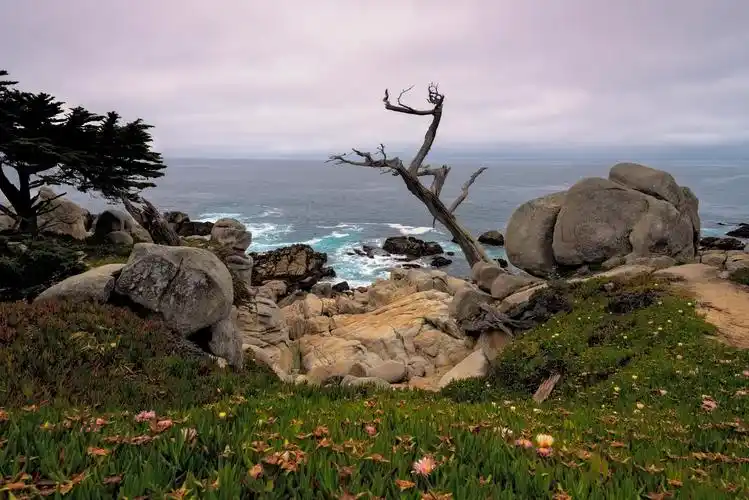 美国西部的自然风光图片,图片,壁纸,自然风景-桌酷