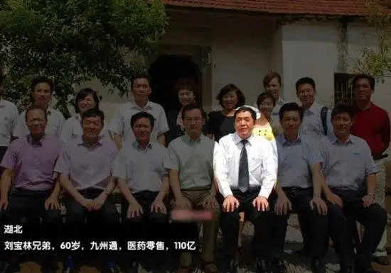 湖北刘宝林兄弟 60岁九州通医药零售 110亿人民币   女性,港澳台及
