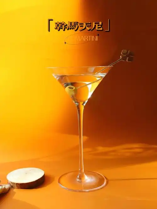 105经典鸡尾酒99 干马天尼( dry martini )