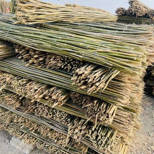 竹竿菜园搭架竹杆条3米豆角黄瓜架子小竹子竹篱笆栅栏围栏架杆棍