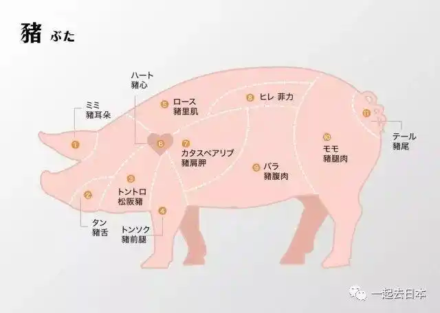 猪牛鸡肉日文菜单对照表一篇让你看懂自己吃的什么肉