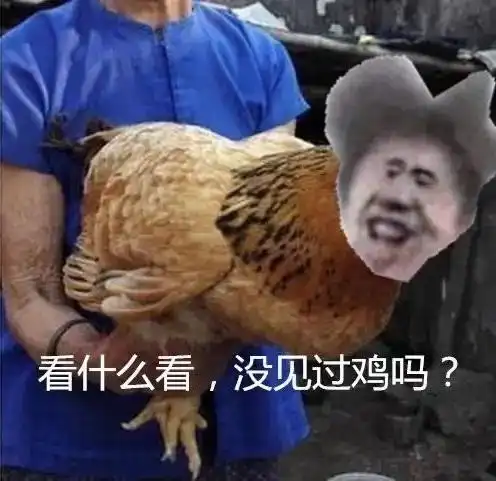 看什么看,没见过鸡你太美啊