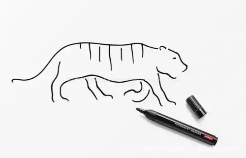 白板笔会动简笔画