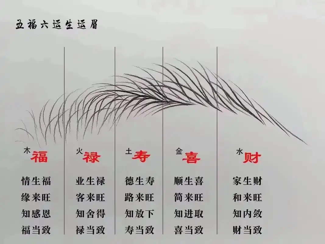 7815 眉毛很讲究风水98代表一个人的运势99眉毛好了 利 - 抖