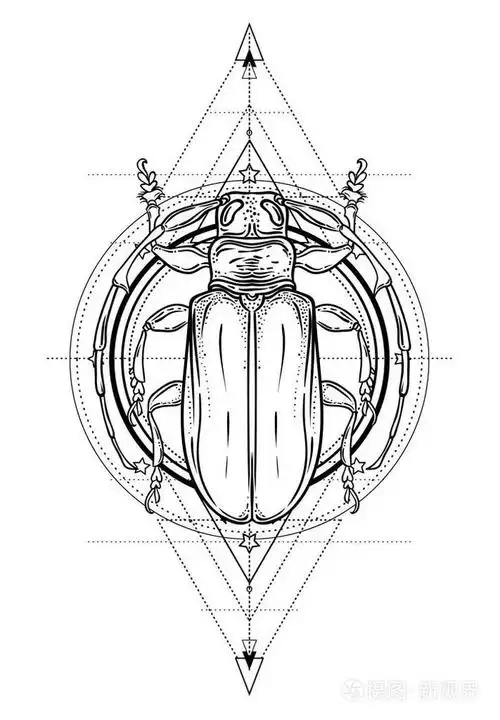 纹身素描. 神秘的符号和昆虫. 炼金术宗教神秘灵性着色书. 手绘古董.