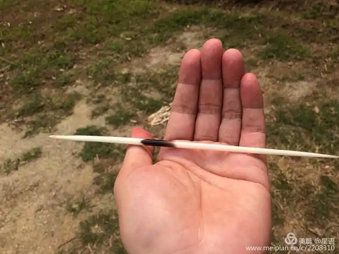 2018年广东揭西瓜田村赏梅行