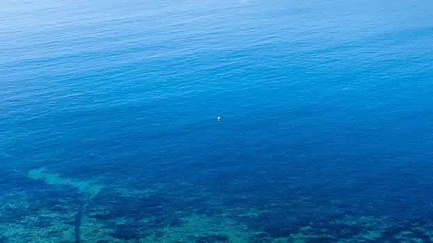 俯视,水上,海洋,湾