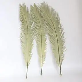 wholesale popular dried palm sago folium cycas leaves for