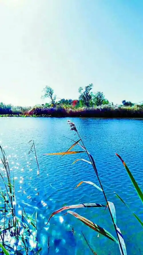 淡然 平静 清雅——潘安湖