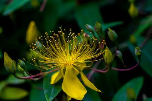 原图欣赏-太平洋摄影部落