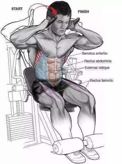 超详细腹肌锻炼图解花钱都买不到拿好不谢