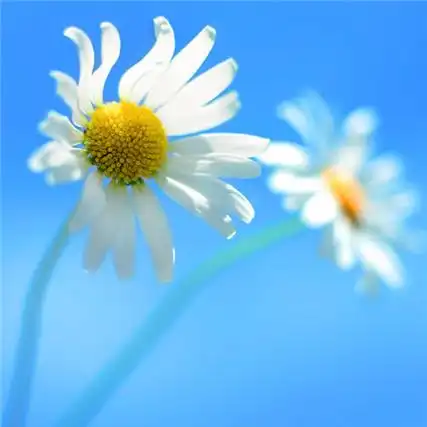 给人一种阳光的头像高清唯美阳光干净的微信头像图片