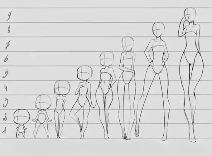 头与身体正比例关系,一般为2头身,3头身,4头身,7头身为正常比例的漫画