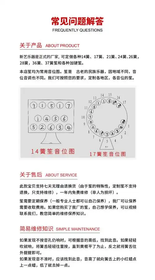 新艺17簧14簧扩音笙乐器大全圆笙方笙修笙工具竽乐器笙包初学者14簧