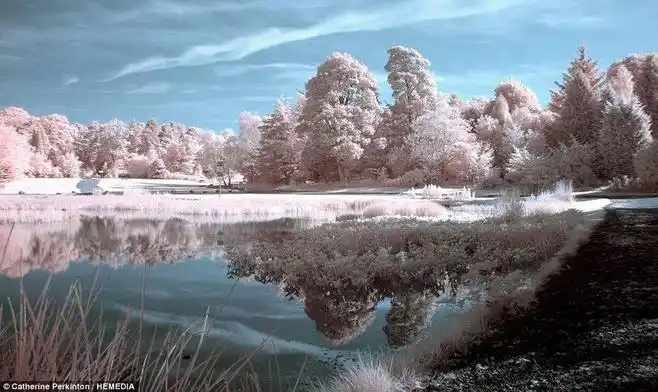 摄影师拍摄炎热的"冬日"_大湘网_腾讯网