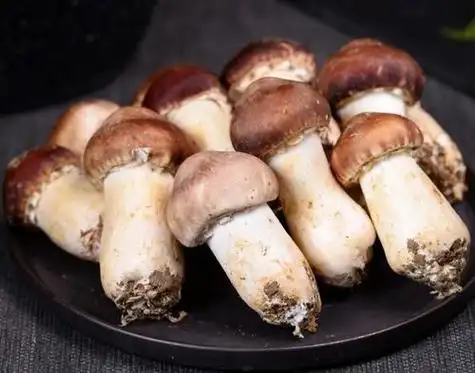 姬松茸-人工菌-丽江沐云山农业发展有限公司