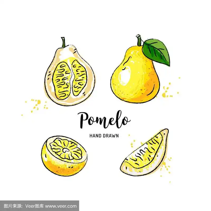 柚子水彩水果图形画上柚子