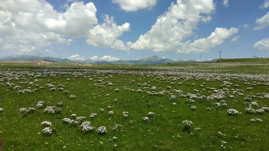 青海省海北藏族自治州海晏县甘子河乡204省道天气预报