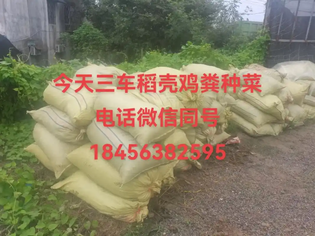 今天三车稻壳鸡粪种菜,本人常年大量供应各类鸡粪,羊 - 抖音