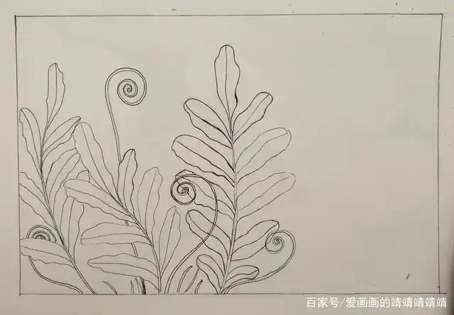 太简单啦,两个步骤就可以画好蕨类植物黑白线描装饰画