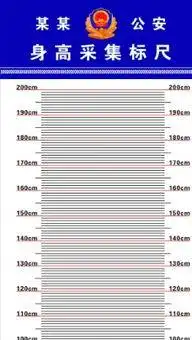 请把我和这一张罪犯身高背景p成我.
