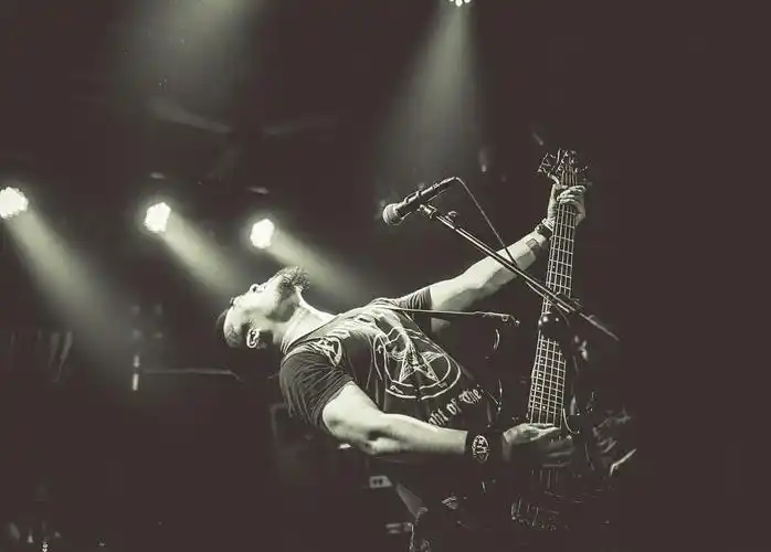 站,参演乐队为horror of pestilence,heinous jan,恶刺乐队,暗疮乐队