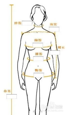 五种女性职业装尺寸测量方法