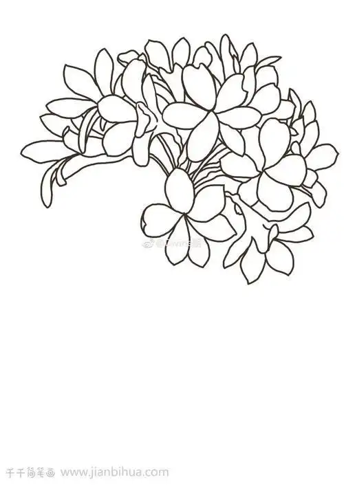 开在路上的花简笔画