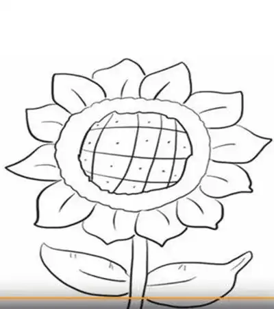 标签关键词:简笔画向日葵教程