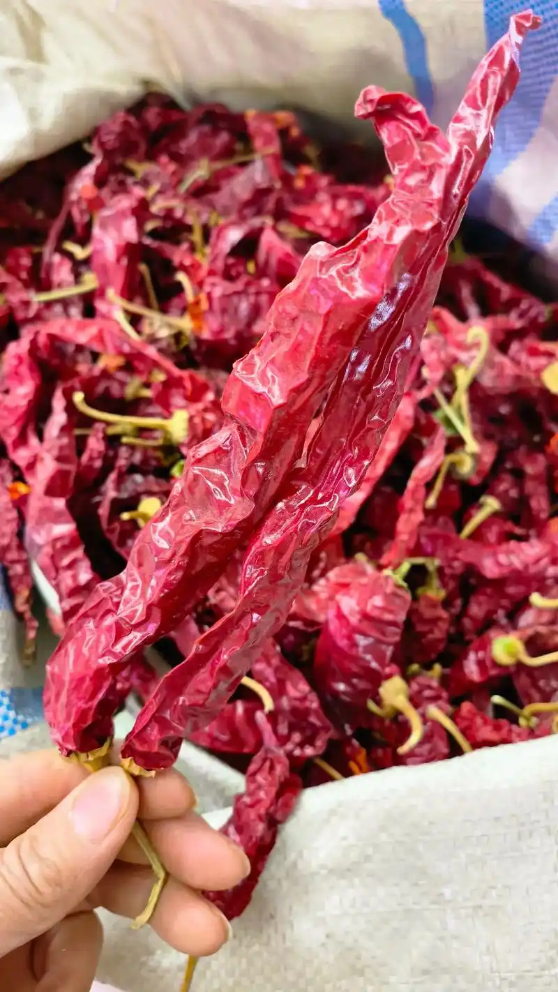 东北干辣椒 吉林白城农家笨辣椒 - 抖音