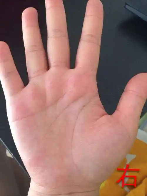 女生手掌纹路图解右手:9种手纹的女人命好,掌纹图解女右手详解 9种