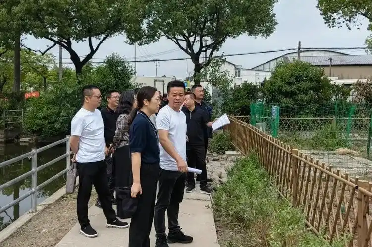 江桥镇开展农村人居环境优化提升第二季度镇级自查