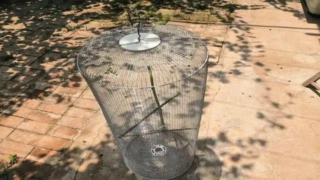 小伙用废旧风扇自制的大鸟笼,简单实用,喜欢养鸟的可以试试!