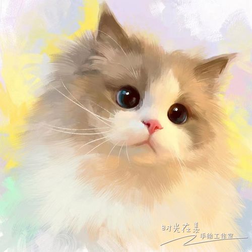 宠物画像定制猫咪头像手绘狗狗肖像绘画周边q版写实卡通漫画猫