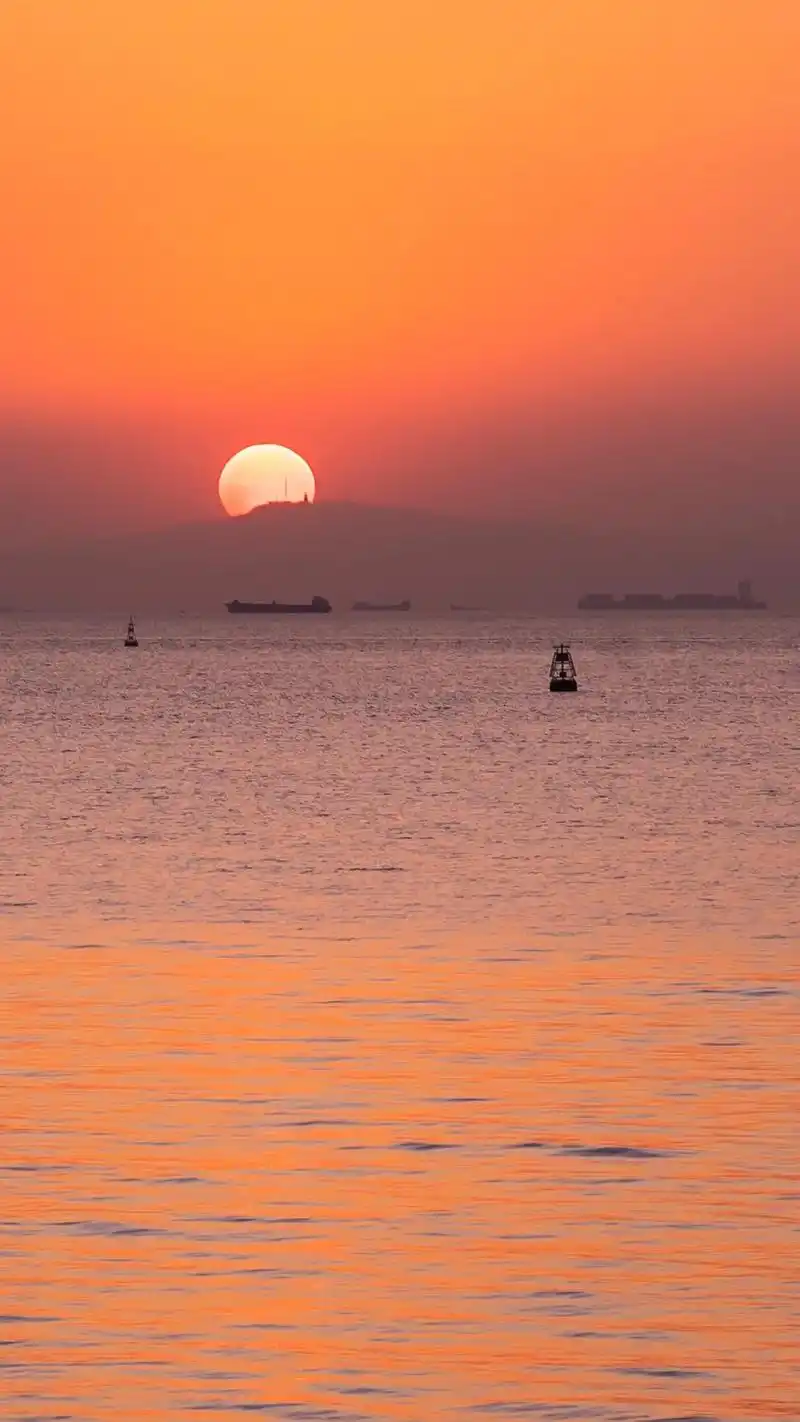 深圳看海|落日晚霞真的超级好看!西湾红树林公园看落日绝美地! - 抖音