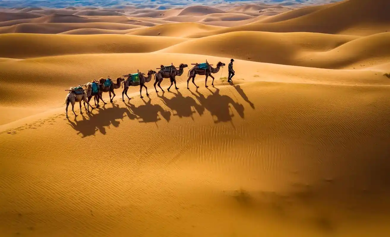 沙坡头#腾格里沙漠.醉美沙坡头 位于宁夏的沙坡头景区,有着黄 - 抖音