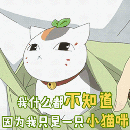 你是什么小猫咪图片_你是什么小猫咪动态图_你是什么小猫咪表情包gif